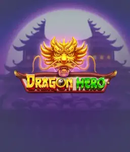 Embark on a fantastic quest with the Dragon Hero game by Pragmatic Play, showcasing stunning graphics of ancient dragons and epic encounters. Venture into a land where magic meets thrill, with featuring enchanted weapons, mystical creatures, and treasures for a mesmerizing adventure.