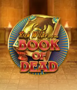 Enter the thrilling world of Book of Dead by Play'n GO, presenting vivid graphics of Rich Wilde's journey through ancient Egyptian tombs and artifacts. Uncover lost riches with exciting mechanics like free spins, expanding icons, and a gamble option. Ideal for those seeking adventure with a desire for thrilling discoveries.